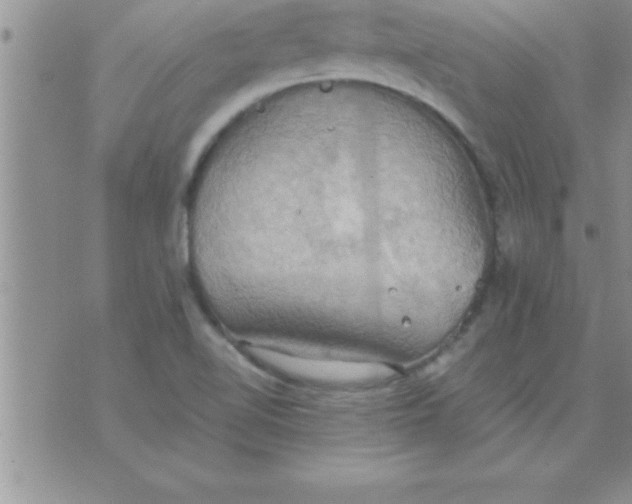 X0000075891510200610062040