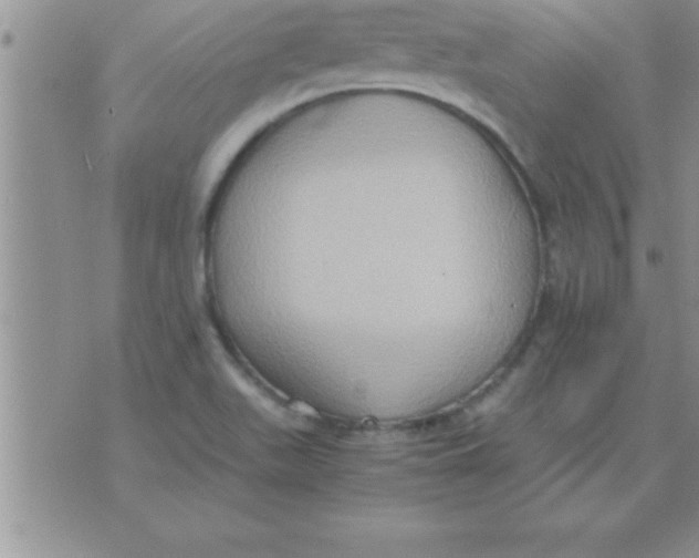 X0000075891511200610062040