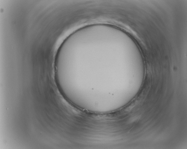 X0000075891512200610062040