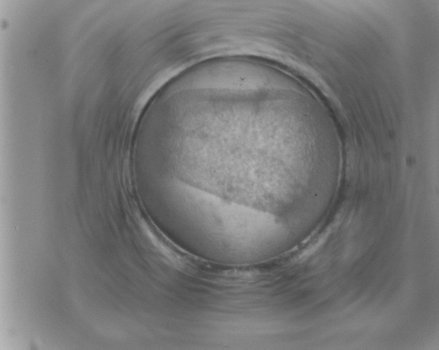 X0000075891513200610062040