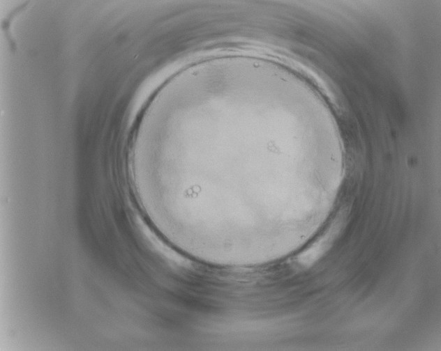 X0000075891514200610062040