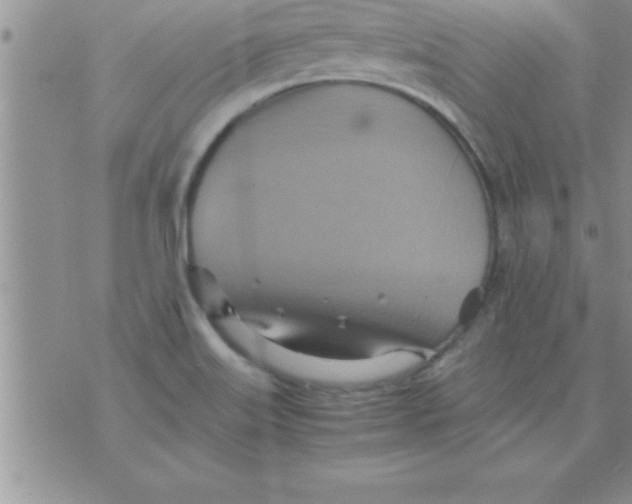 X0000075891515200610062040