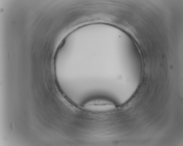 X0000075891516200610062040