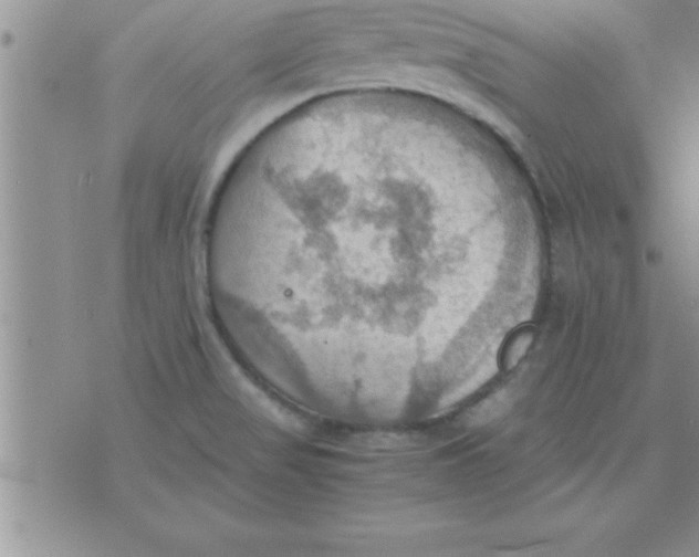 X0000075891517200610062040