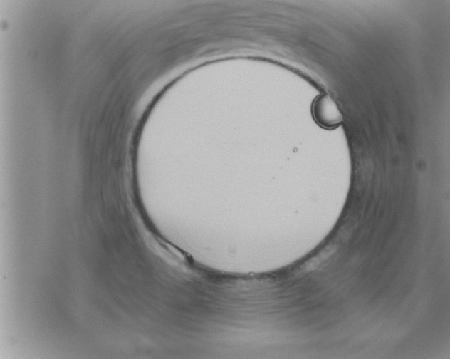 X0000075891518200610062040