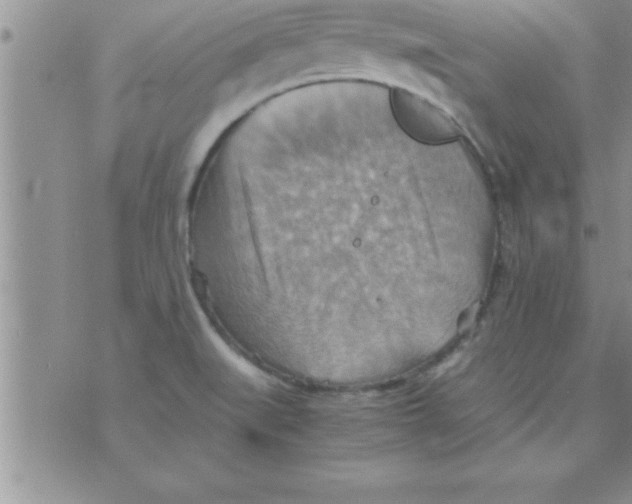 X0000075891519200610062040