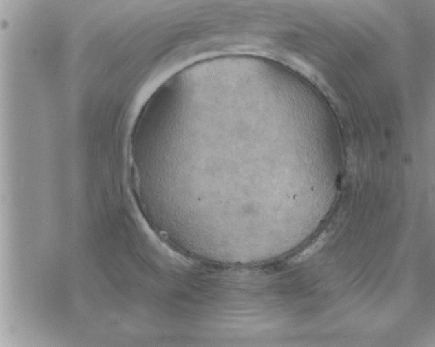 X0000075891520200610062040