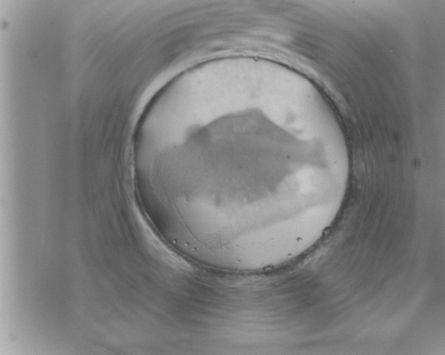 X0000075891522200610062040