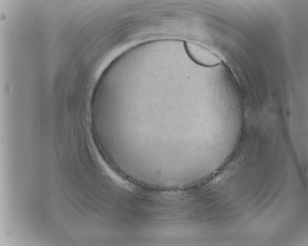 X0000075891523200610062040