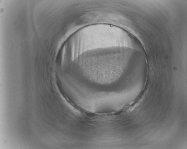 X0000075891525200610062040