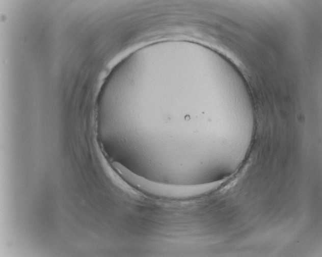 X0000075891526200610062040