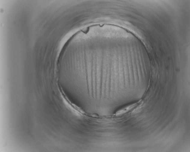 X0000075891527200610062040