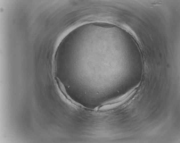 X0000075891528200610062040