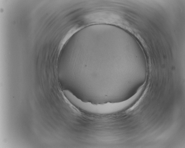 X0000075891529200610062040