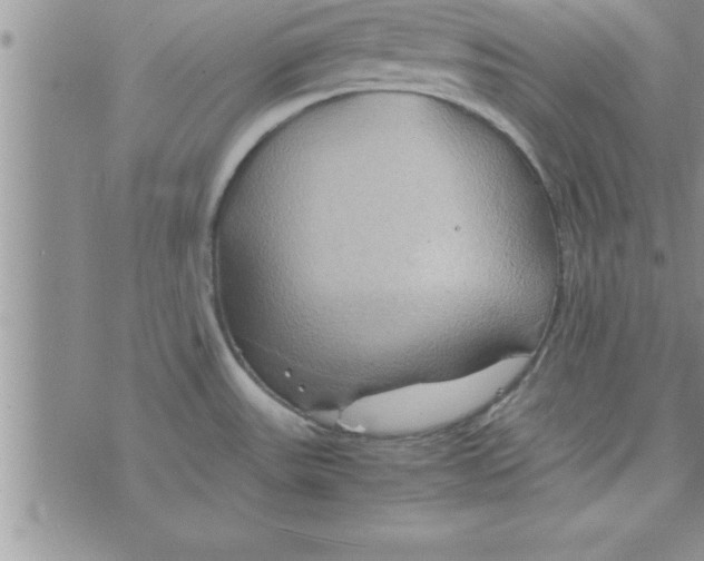 X0000075891531200610062040