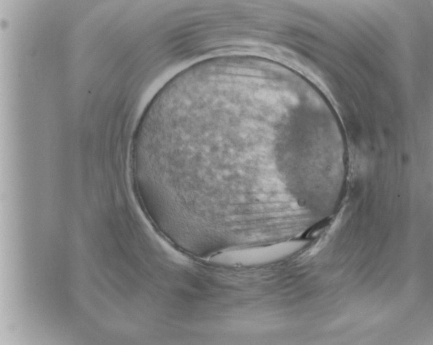 X0000075891533200610062040