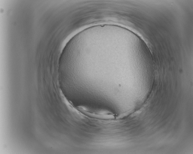 X0000075891534200610062040