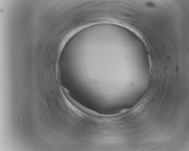 X0000075891535200610062040