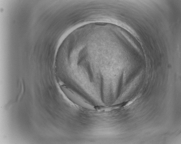 X0000075891536200610062040