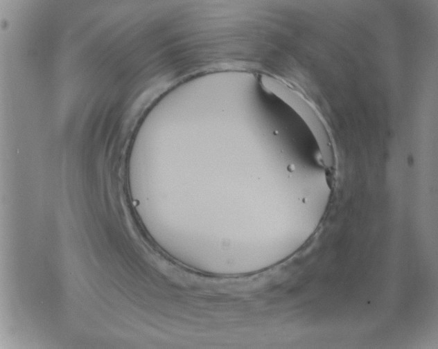 X0000075890001200610151803