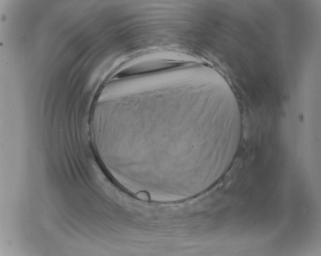 X0000075890002200610151803