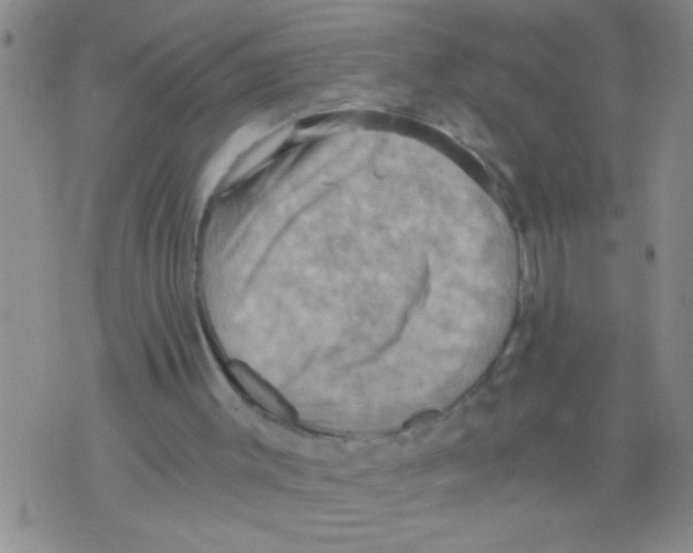 X0000075890003200610151803