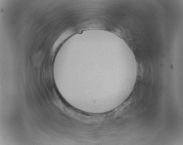 X0000075890004200610151803