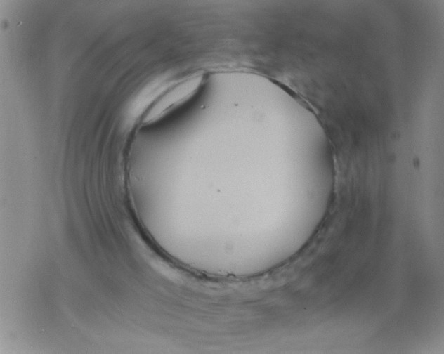 X0000075890005200610151803