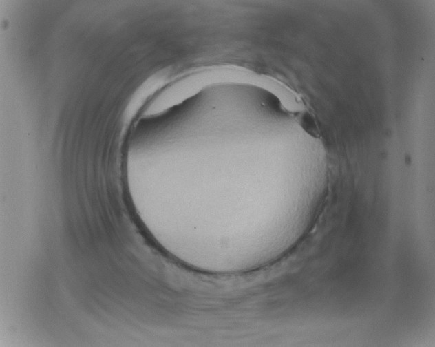 X0000075890006200610151803