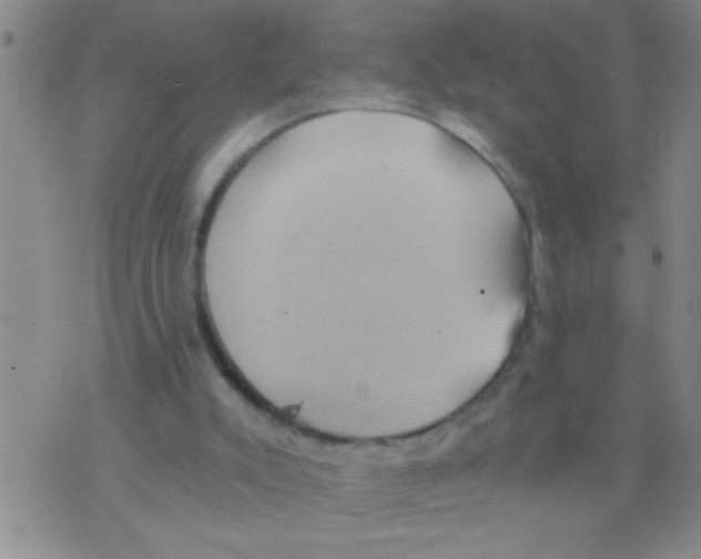 X0000075890007200610151803