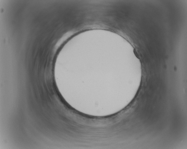 X0000075890008200610151803