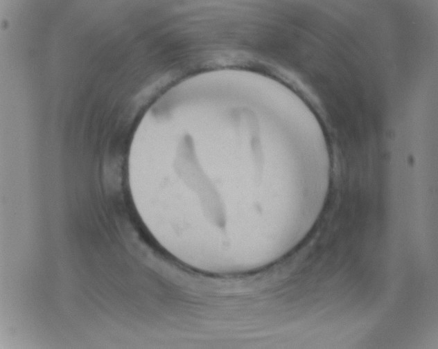 X0000075890010200610151803