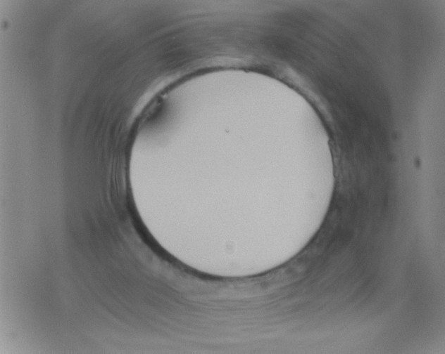 X0000075890011200610151803