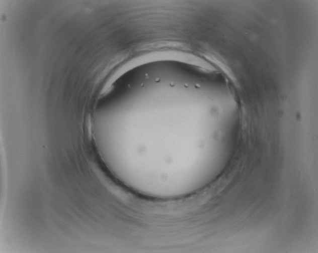 X0000075890013200610151802