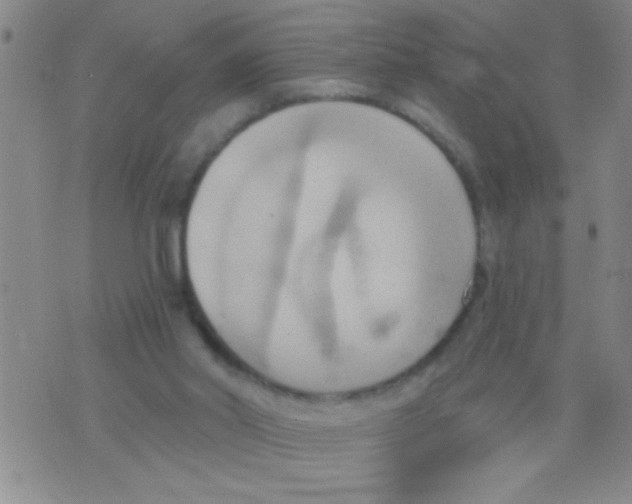 X0000075890014200610151802