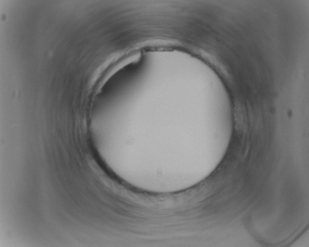 X0000075890015200610151802