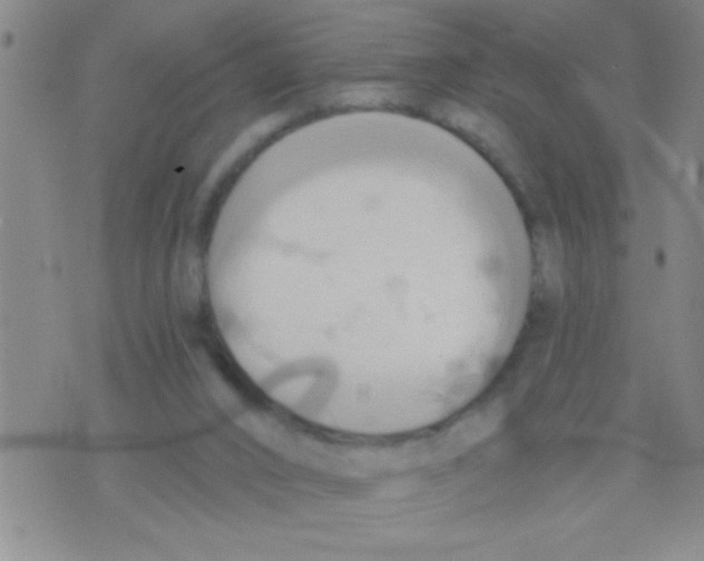 X0000075890016200610151802