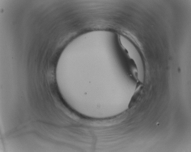 X0000075890017200610151802