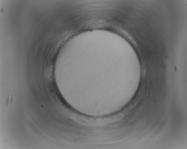 X0000075890018200610151802