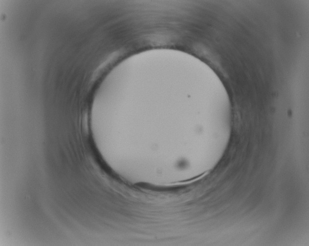 X0000075890019200610151802