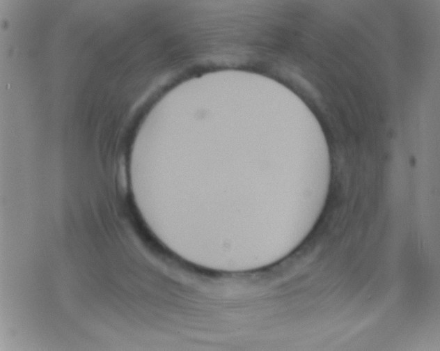 X0000075890020200610151802