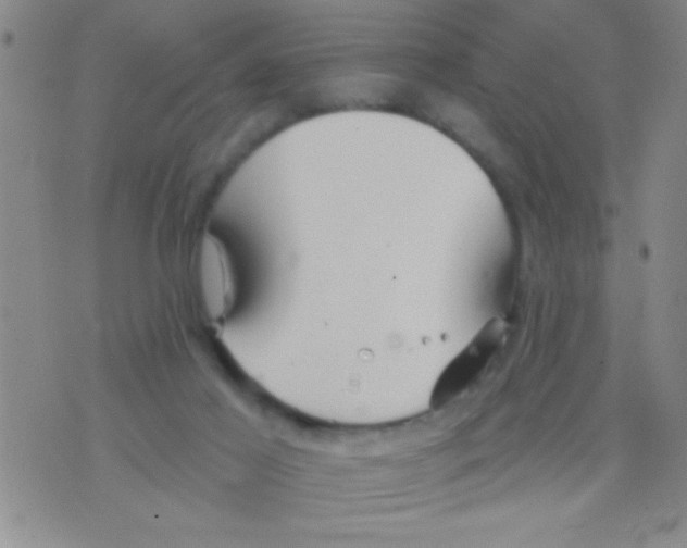 X0000075890021200610151802