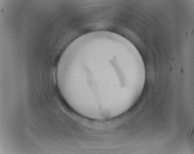 X0000075890022200610151802