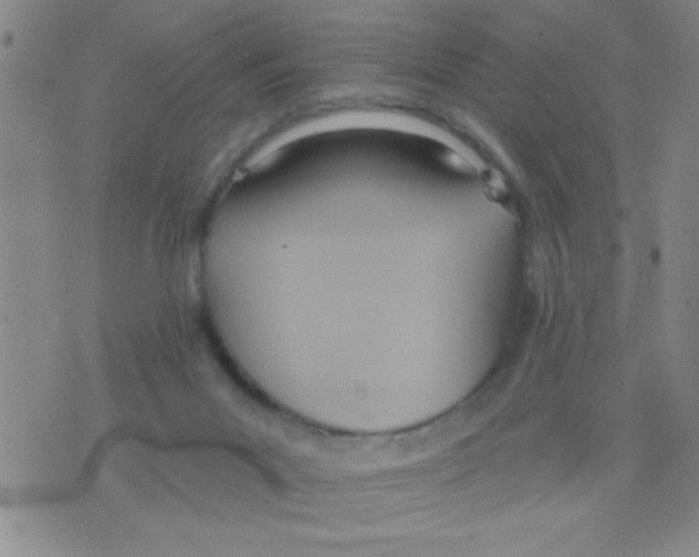 X0000075890023200610151802