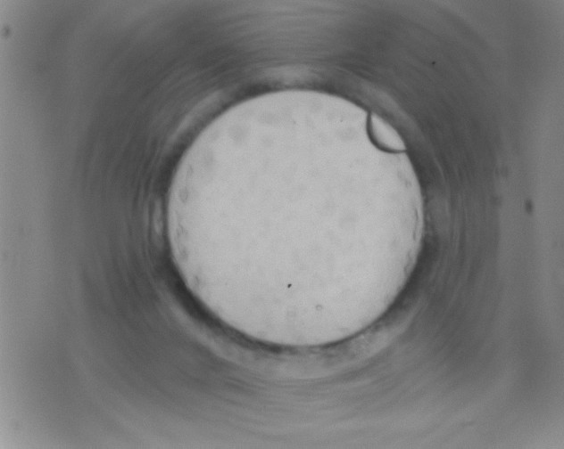 X0000075890024200610151802