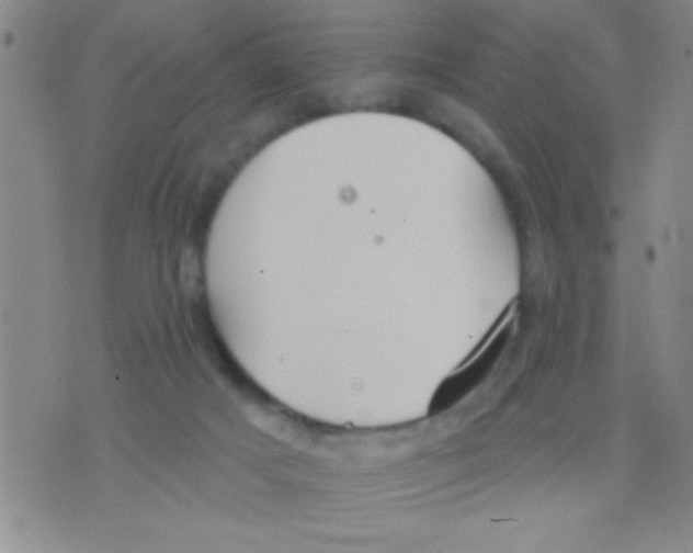 X0000075890025200610151802