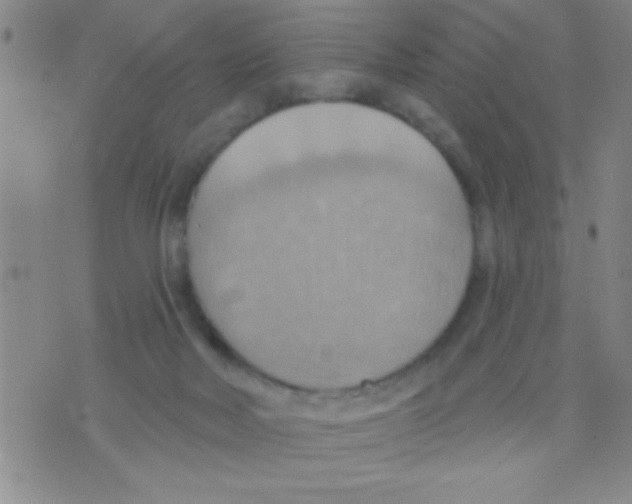 X0000075890026200610151802