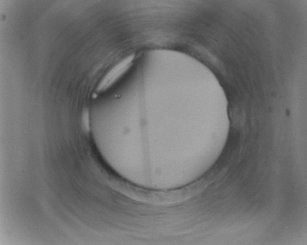 X0000075890027200610151802