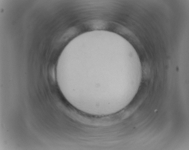 X0000075890028200610151802