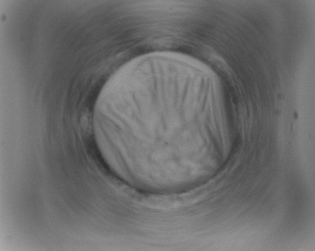 X0000075890029200610151802